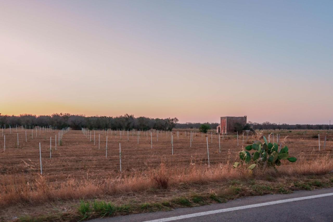 Bed And Breakfast Cairoli Exclusive Room San Pietro Vernotico Exterior photo